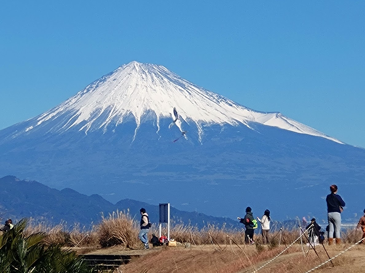 たこあげ大会